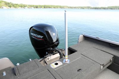 ski pole for bass boat